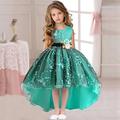 Kinder Mädchen Blumenstickerei Prinzessin A-Linie Kleid Ärmellos Geraffte Mesh Hochzeit Party Niedlich Asymmetrische Tüll Kleid Sommer Frühling Polyester