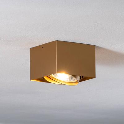 Deckenstrahler Riesta, gold, einflammig Riesta Argon, dimmbar, messing / gold, für Wohn- / Esszimmer, Metall, Modern, Strahler Image