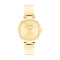 Montre Calvin Klein Elevadted Doré