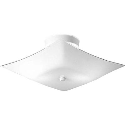 Progress Lighting 496105 - 2 Light White Glass Ceiling Mount Light Fixture (TWO-LIGHT CLOSE-TO-CEILING (P4961-30))