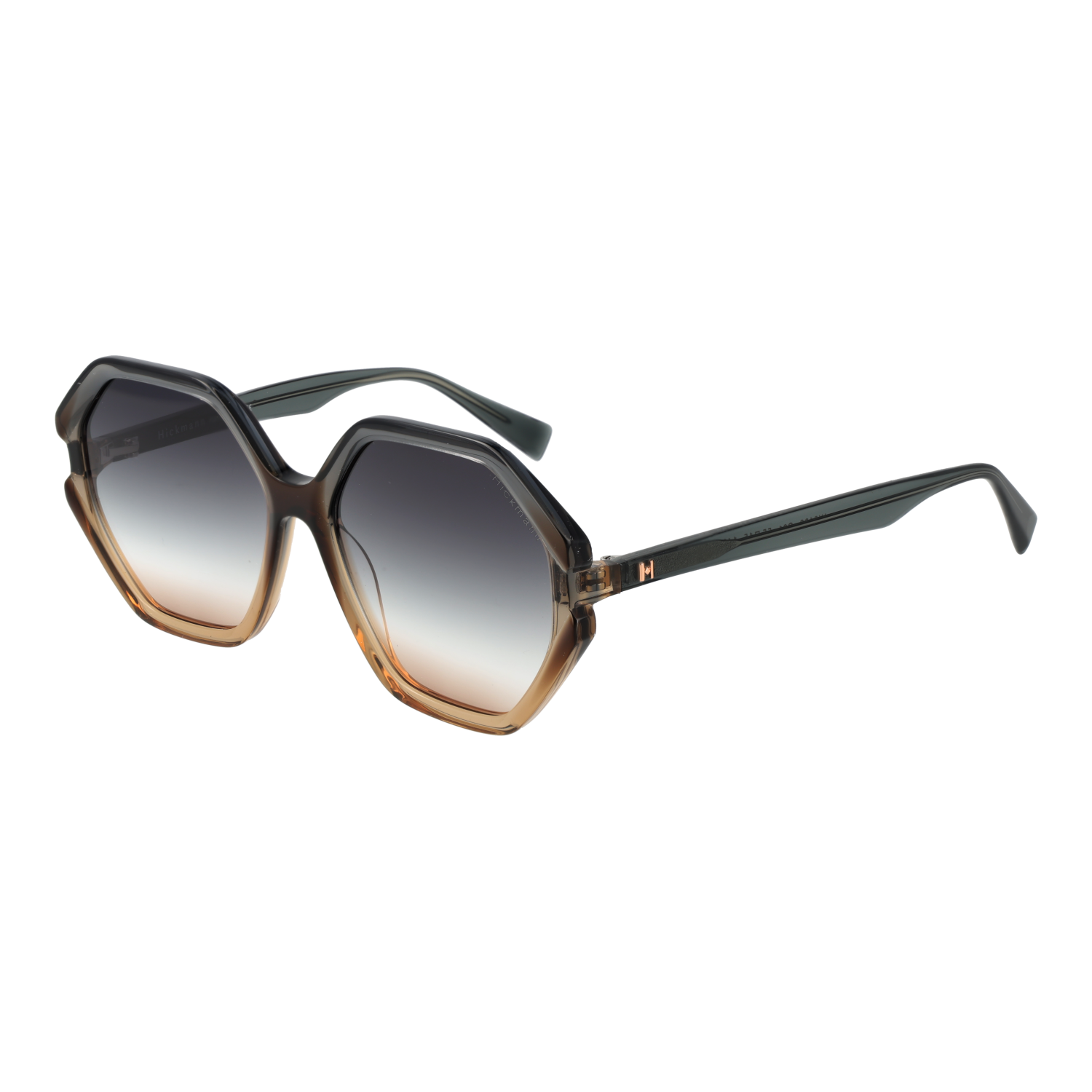 Ana Hickmann Sonnenbrille HI9186 C01 55 Image