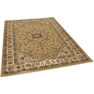 Teppich THEKO "Hamadan 359", braun (camel), B:66cm H:10mm L:120cm, Polypropylen, Teppiche, Kurzflor, Orient-Optik, auch als Läufer Image