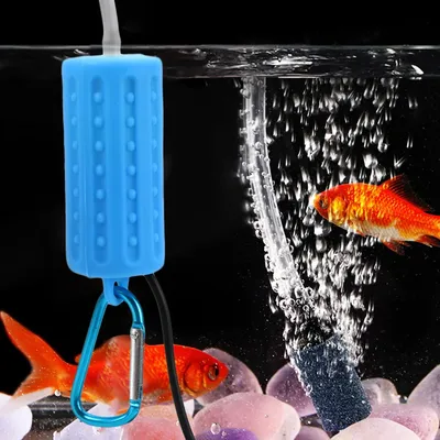Fish+Supplies