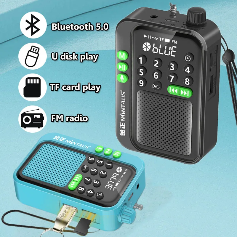 Tragbares Mini-FM-Radio, beste Empfangsradios, 5 W kabelloser Bluetooth-Lautsprecher, TF-Karte, U-Disk, Musik, MP3-Player, unterstützt HD-Rcording Image