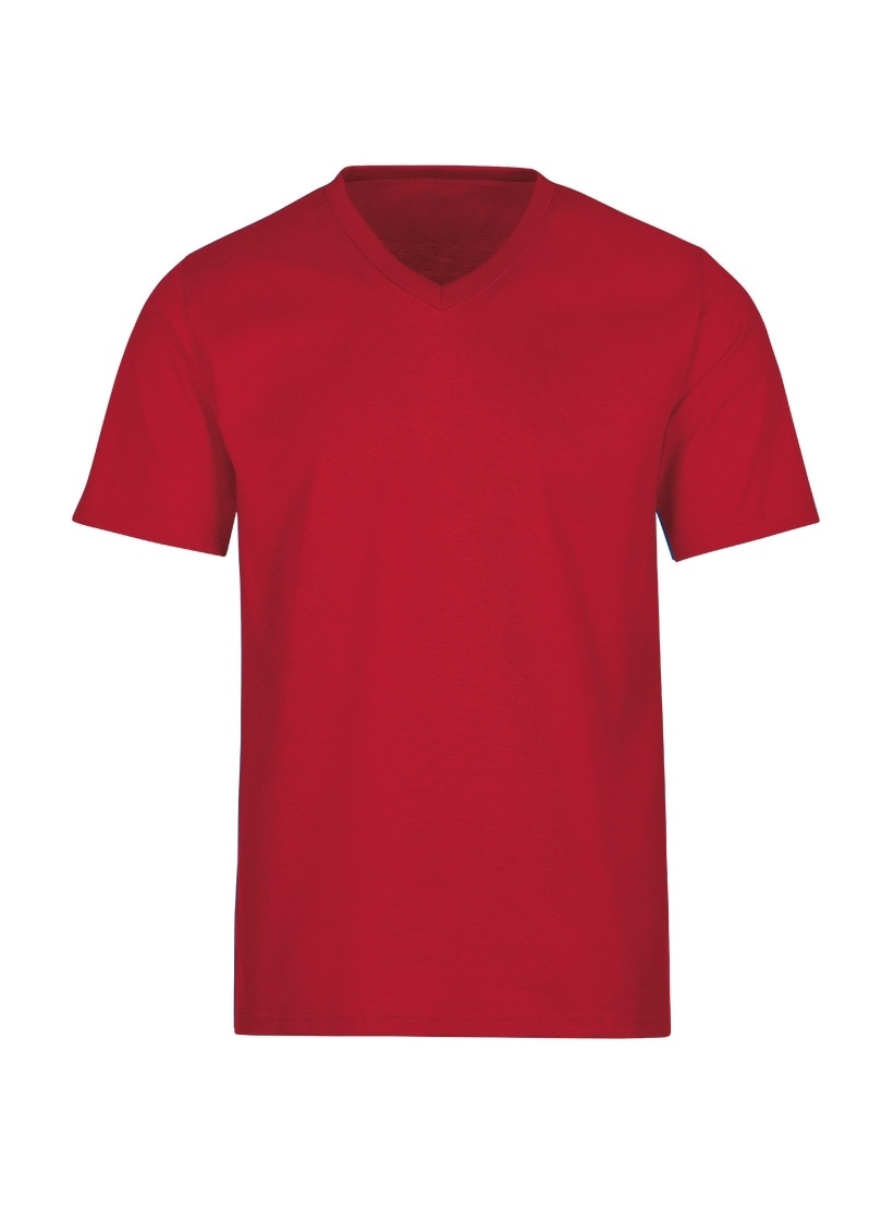 T-Shirt TRIGEMA "TRIGEMA V-Shirt DELUXE Baumwolle", Damen, Gr. 4XL, braun (kirsch), 100% Baumwolle, Basic, Shirts Image