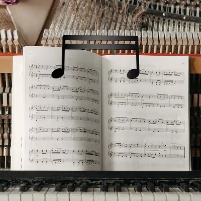 Metal Music Book Clip Music Stand Clips Sheet Music Clips for Outdoor Playing Note Paper Books Piano