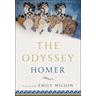 The Odyssey - Homer Homer, Emily Wilson