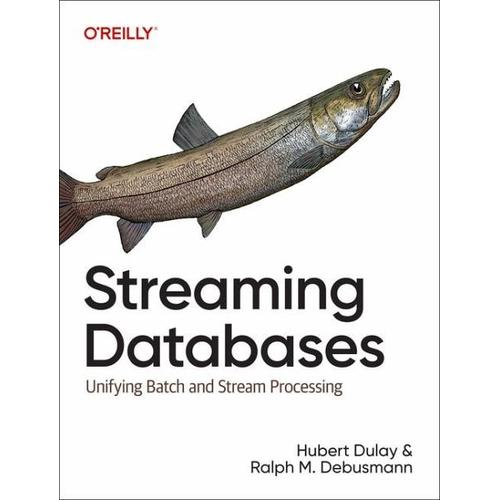 Streaming Databases - Hubert Dulay, Raplh Matthias Debusmann