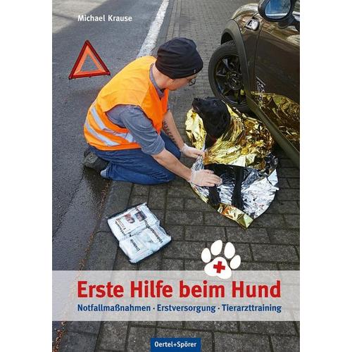 Erste Hilfe beim Hund
