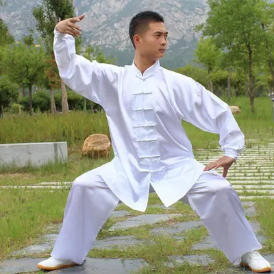 Tai Chi Performance Clothing Martial Arts Clothing Adults Martial Arts Wing Chun Suit Solid Color