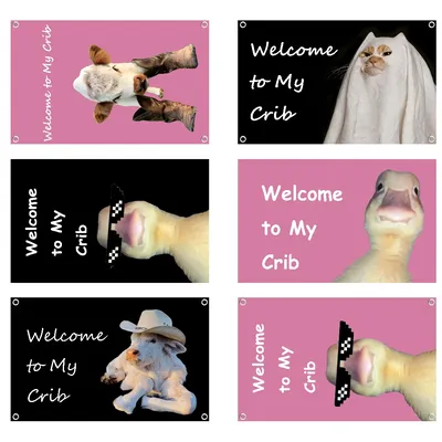 Welcome to My Crib Funny Flag Indoor Outdoor Decorative Wall Art Decor Corporate Flag Printing