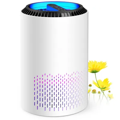 Air+Purifiers