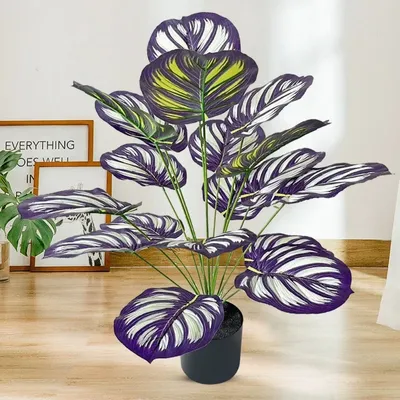 Flowers+Plants