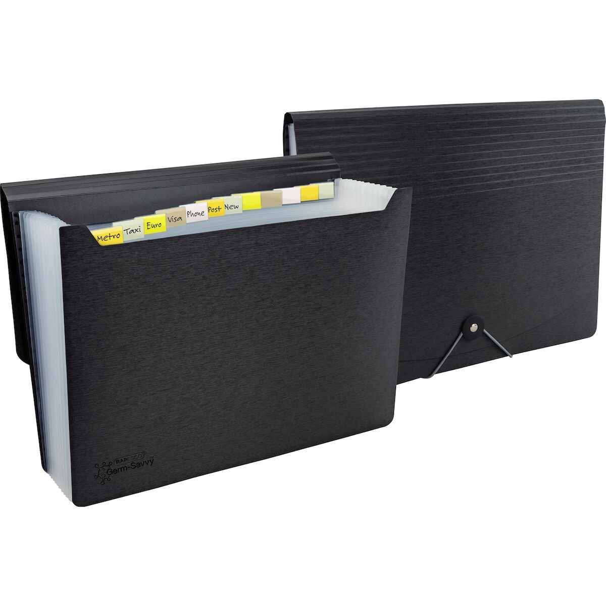 RAPESCO Fächermappe 1638 Germ-Savvy A4 Image