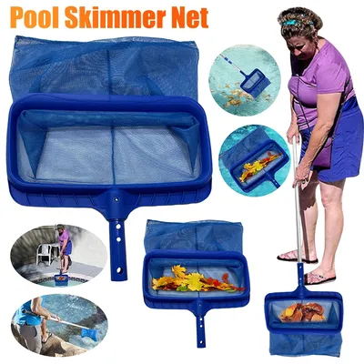 Swimming+Pools+Spas