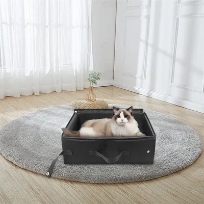 Cat+Supplies
