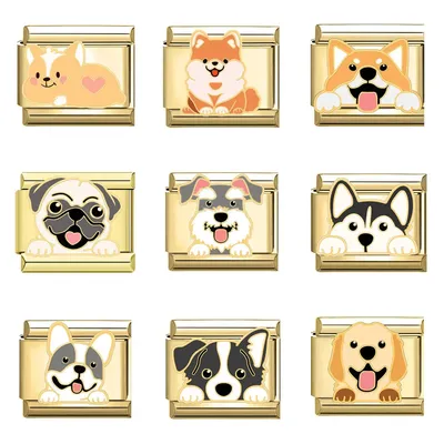 WG 1 Stück italienisches modulares Armband im 24-Stil, goldener Haustier-Hund-Charm-Anschluss, Image