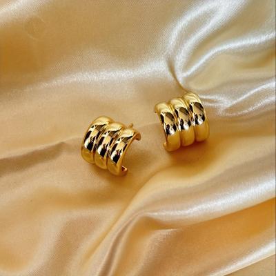 TEMU Vintage Elegant Twisted Geometric Hoop Earrings Set, Luxury Court Ear For Women Fashion Jewelry Accessories Gifts Image