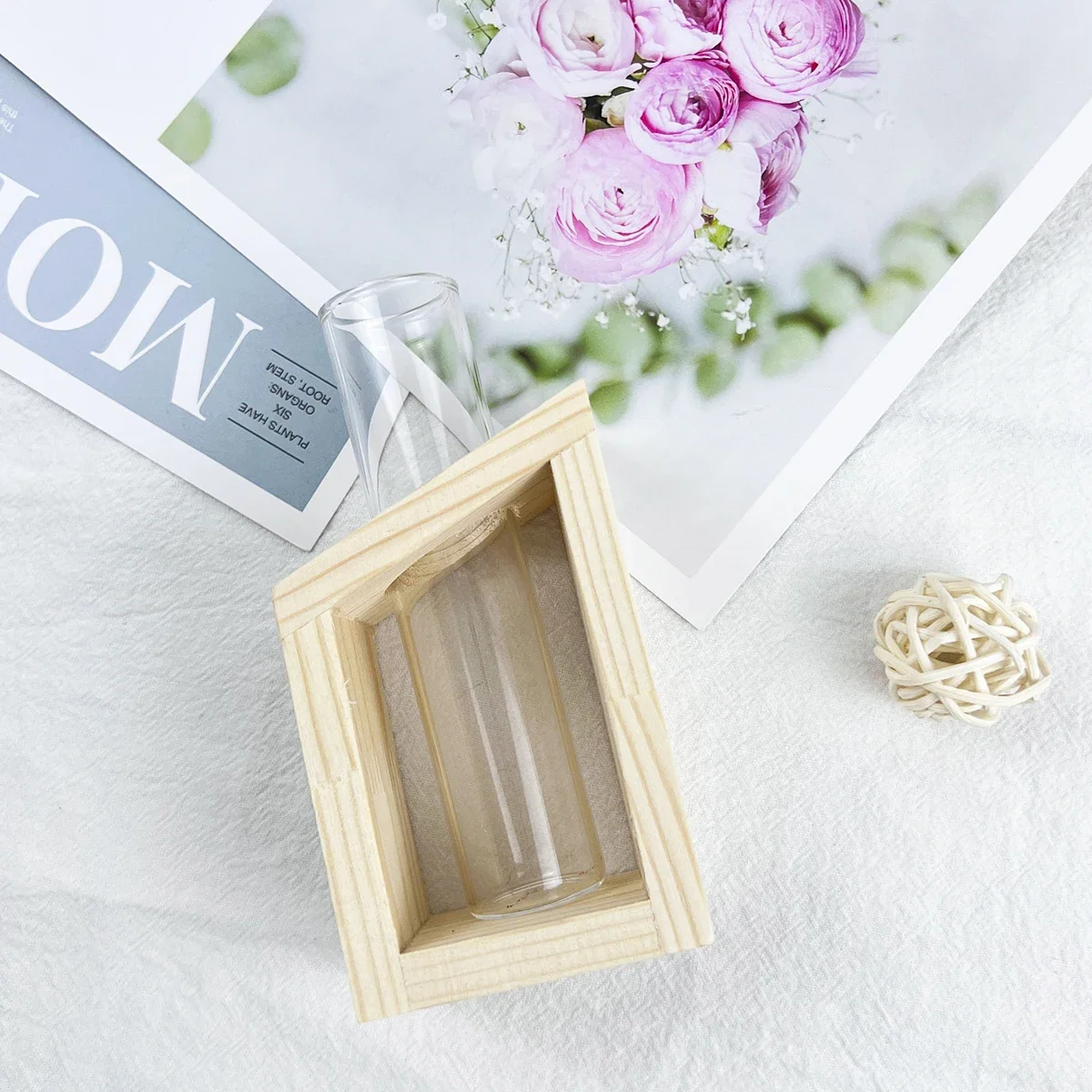 1 Stück-moderne Glasvase mit Holz ständer, runde Blumenvase im Reagenzglas stil, grüner Hydro ponik pflanzer für die Wohnzimmer dekoration Image