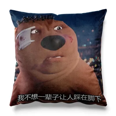 Aertemisi chinesischer Biber Meme ein besseres morgen quadratisches Kissen Kissen bezüge Bezüge Image