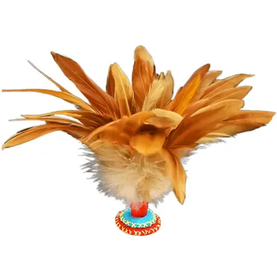 A Pair Buckets Handmade Feather Chinese Jianzi Kick Shuttlecocks for Fitness Sports Exercise