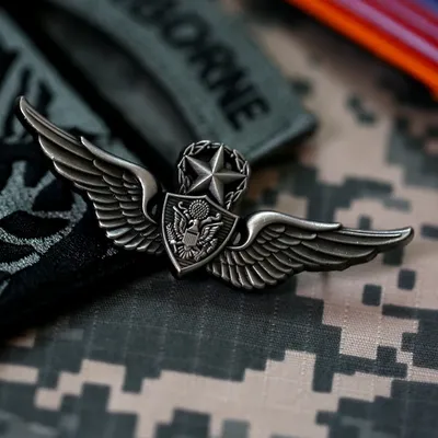 US Aviation Senior Flying Badge Pilot President Ancient Silver Epaulettes Skill Advanced Unit Metal