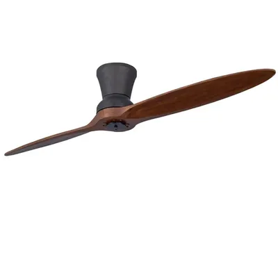 Ceiling+Fans