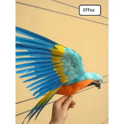 big real life light blue&orange parrot model foam&feather simulation wings parrot bird gift about