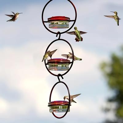 TEMU 3pcs Beautiful Hanging , Metal Bottle Feeder With Metal Frame And Perch Image
