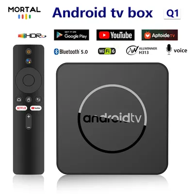 Mortal Android Smart TV Box Q1 Android 14 ATV TV Box H313 100M/LAN Wifi 6 BT5.0 Google Voice