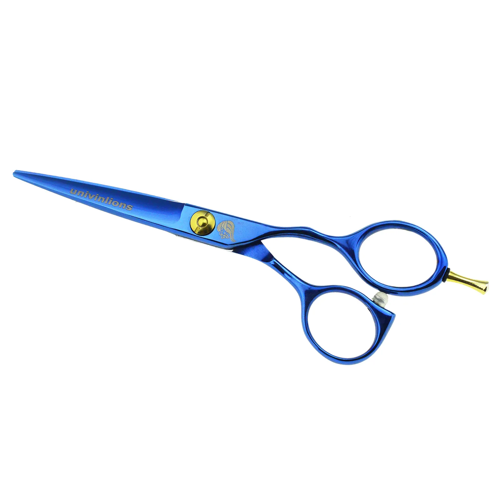 Titan blau Friseur Schere Japan Haars ch neides chere Friseur Schere Salon Friseur Haarschnitt profession elle Haars chnitt Image