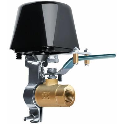 Gabrielle WLAN-Smart-Wasserventil für Hebelschalter, elektrische Gasventilsteuerung,