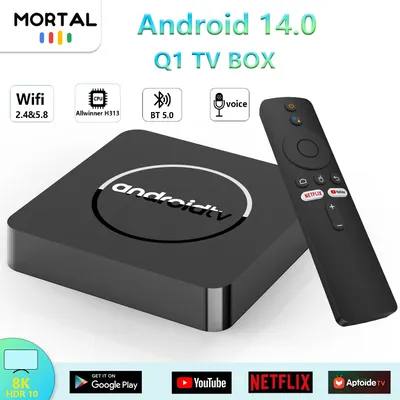 Mortal Q1 Smart TV Box Home Theater Android 14 Allwinner H313 Quad Core 5G WIFI 2G16G Bluetooth