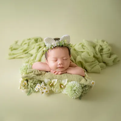Spring Green Newborn Photography Backdrop Wrapping Theme Props Pillow Ears Headband Floral Photo