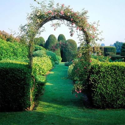 TEMU Metal Pergola , Outdoor Flower Garden Arch Trellis, Steel Garden For Climbing Plants, Wedding Decoration Image