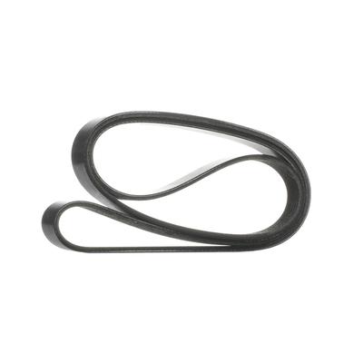 RIDEX Keilrippenriemen FORD 305P0647 1761929,CM5Q6C301BA,CM5Z8620F Rippenriemen Image