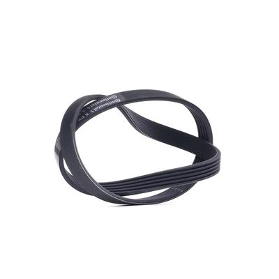 CONTITECH Keilrippenriemen OPEL,BMW,RENAULT 5PK900 5PK898,5PK902,95519007 Rippenriemen 7929031,1340A114,71749433,5PK900,7701068448,4709247,60808684 Image