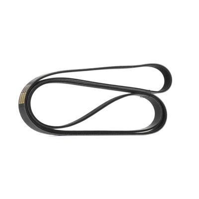 RIDEX PLUS Keilrippenriemen MERCEDES-BENZ,AUDI,OPEL 305P0100P A0149970692,0019938696,0149970692 Rippenriemen A0139972392,A6129970092,53013298AA Image