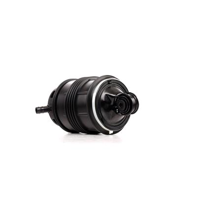 RIDEX Luftfeder, Fahrwerk MERCEDES-BENZ 4119A0054 2113200825,211320082580,A2113200825 A211320082580 Image
