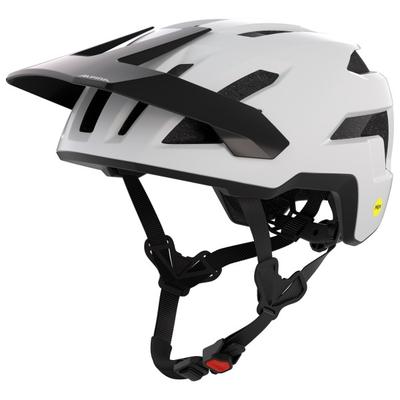 Alpina - Taunus Mips - Radhelm Gr 52-56 cm grau/schwarz Image