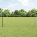 Set di Recinzioni da Giardino in Metallo Set di 2 Grigio, Nero Vidaxl