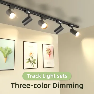Track+Lights