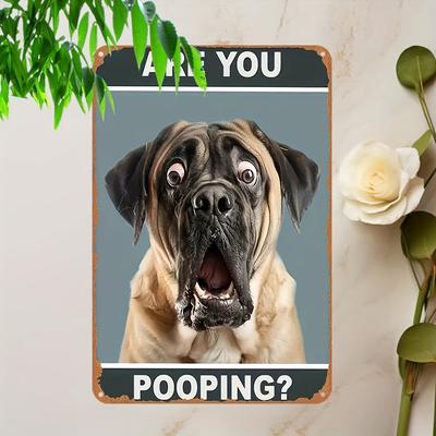 "TEMU 1pc Are You Pooping?" Humorous Sign - 12x8 Inches, Retro Wall Art For Home, Cafe, Or Shop Decor, Iron Poster With Distressed Look, Room Accent|retro Wall Art|no Power Needed, Wall Art Decor" Image