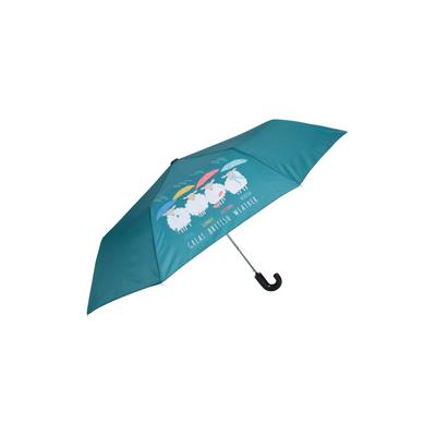 Mountain Warehouse - Faltbarer Regenschirm Floral Wandern (Petrol) Image