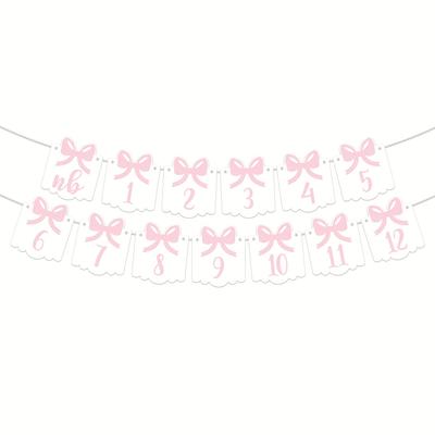 TEMU 12-month Pink Bow Photo Diy String Banner - Milestone Bow Banner, To 12 Months, First Birthday Photo Banner For To 12 Months, Bow Holder Image