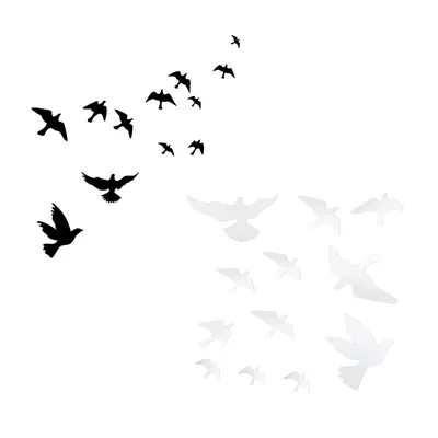 Fenster alarm Vogel Aufkleber gesetzt-verhindern Vogels chlag an Türen und Fenstern Glas Image