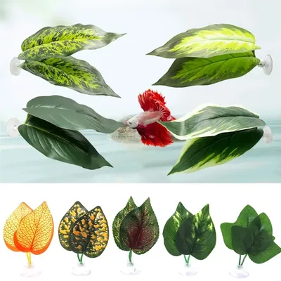 Betta Blatt Hängematte Betta fish Blatt Bett ruhende Blatt Pad natürliche Umgebung Fisch Laich Image