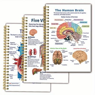 TEMU 3 Notebooks With Of Anatomical Structure Diagrams Of Human Organs, 5.5x8.3 Inches, Double-sided 50 Pages, Rounded Corner Design, Thick And Durable Cover, Ideal For Learning Image