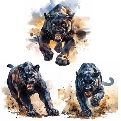 MT862 # Black Panther Aufkleber, Wand-WC-Aufkleber, abnehmbar, Vinyl-Autoaufkleber für Badezimmer-Dekoration, für den Innen- und Außenbereich Image