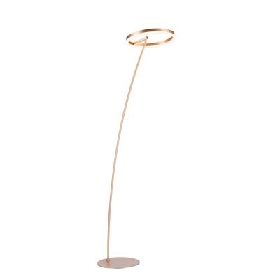 Stehlampe PAUL NEUHAUS "TITUS", gold (messingfarben matt), Lampen, Ø 45,5cm H: 215cm, LED, dimmbar über Schnurdimmer, H:215cm Ø:45,5cm Image